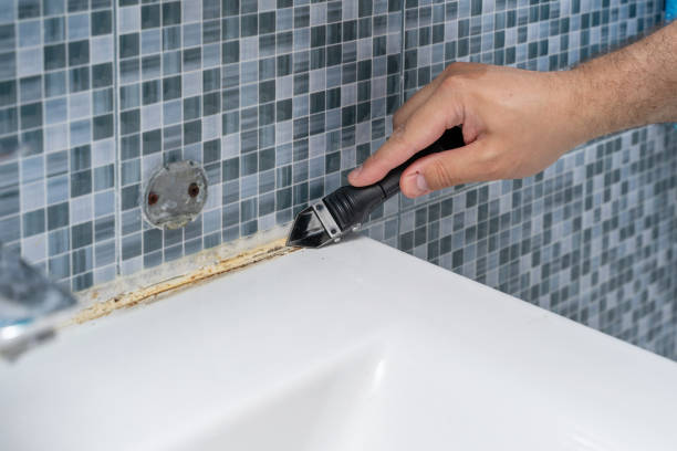 Best Mold Testing and Inspection Services in Williamsville, NY