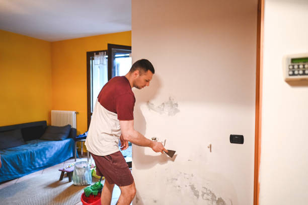 Best Kitchen Mold Remediation in Williamsville, NY